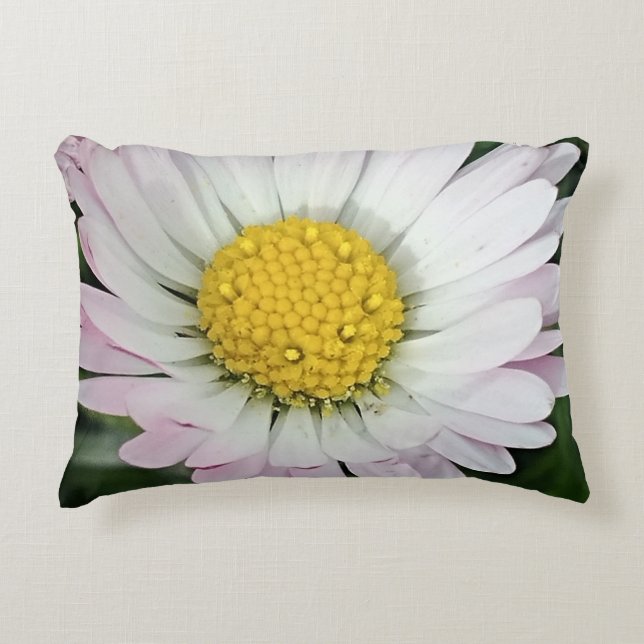 Cojín Decorativo Bonito (Anverso)