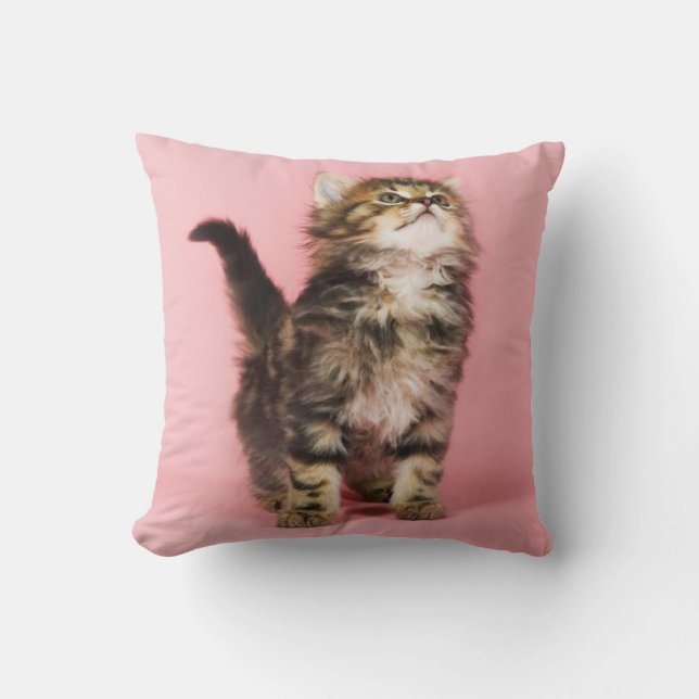 Cojín Decorativo Bonito en gatito rosado (Anverso)