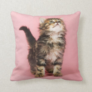 Cojín Decorativo Bonito en gatito rosado