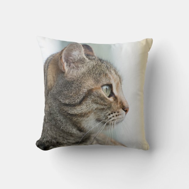 Cojín Decorativo Bonito gato gris (Anverso)