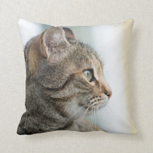 Cojín Decorativo Bonito gato gris