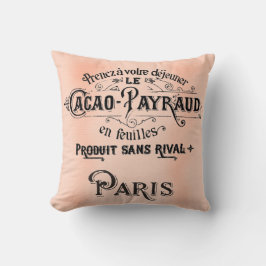 Cojín Decorativo Bonito Paris Antiguo Art Pillow Cacao
