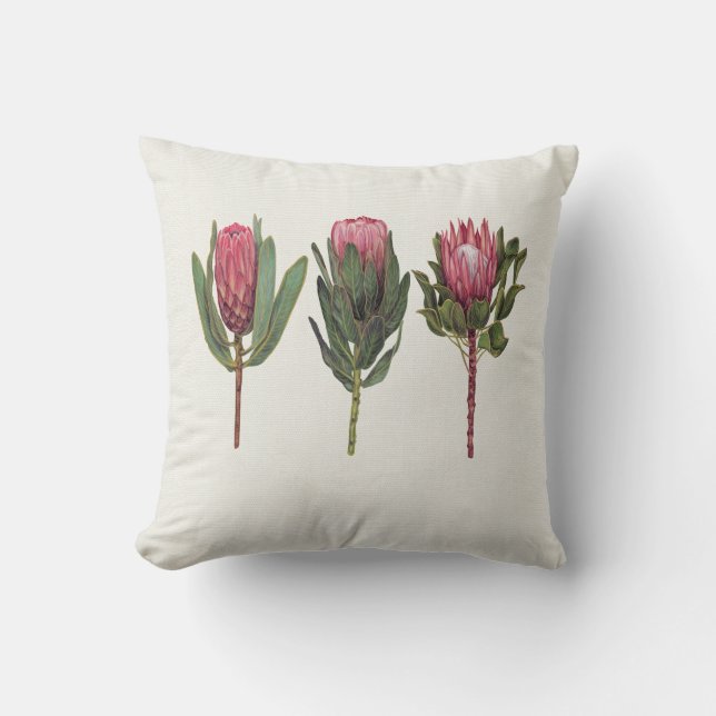 Cojín Decorativo Bonito Protea Pillow (Anverso)