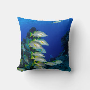 Cojín Decorativo Bonitos peces de colores   Mejor regalo para la vi