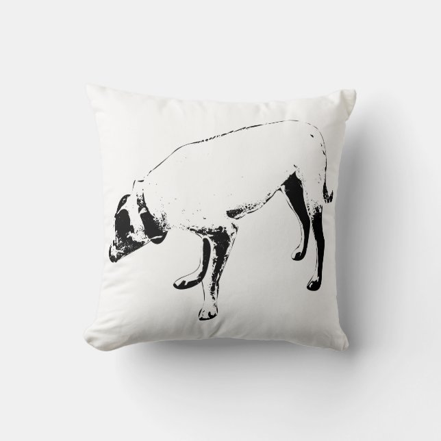 Cojín Decorativo Borde del viento (Anverso)