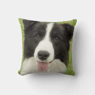 Cojín Decorativo Border collie