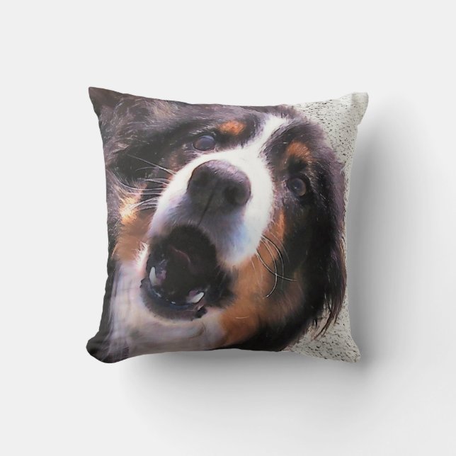 COJÍN DECORATIVO BORDER COLLIE (Anverso)