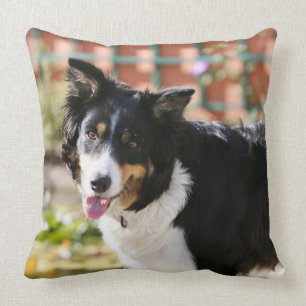 Cojín Decorativo Border collie que jadea 1