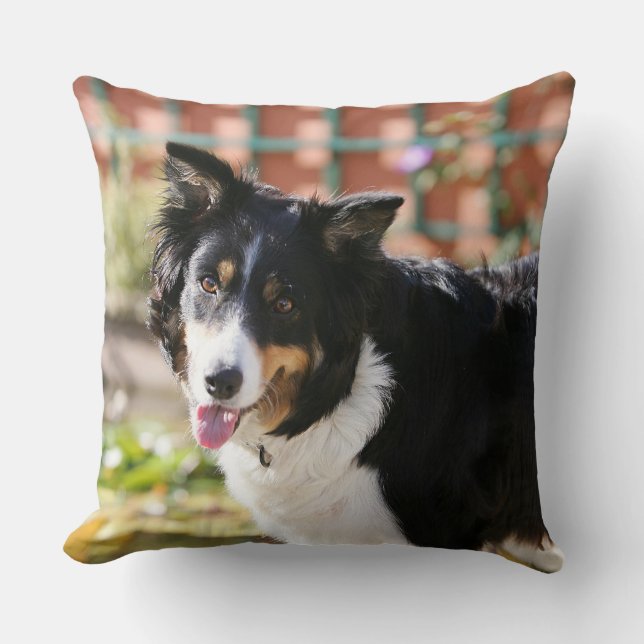Cojín Decorativo Border collie que jadea 1 (Anverso)
