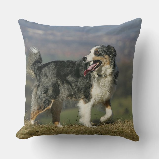Cojín Decorativo Border collie que jadea 2 (Anverso)