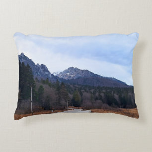 Cojín Decorativo Bosque Camino Paisaje Escénico Naturaleza Salvaje 