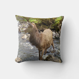 Cojín Decorativo Bosque Elegante Joven Ciervo Rojo Animal Pacífico