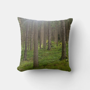 Cojín Decorativo Bosque iluminado por el sol - Verde bosque