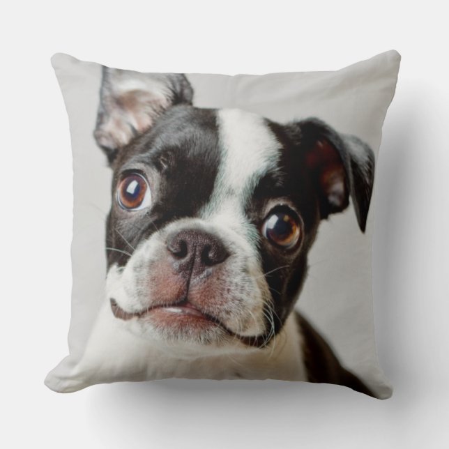 Cojín Decorativo Boston Terrier (Anverso)