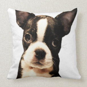 Cojín Decorativo BOSTON TERRiER
