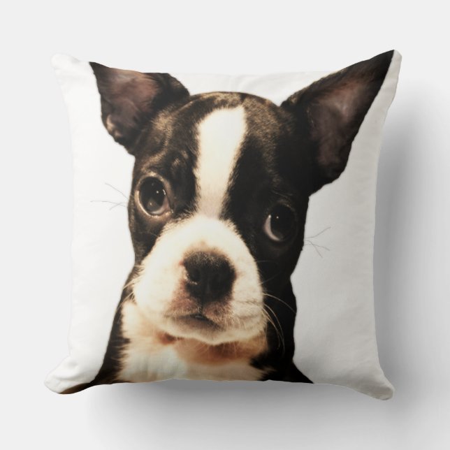 Cojín Decorativo BOSTON TERRiER (Anverso)