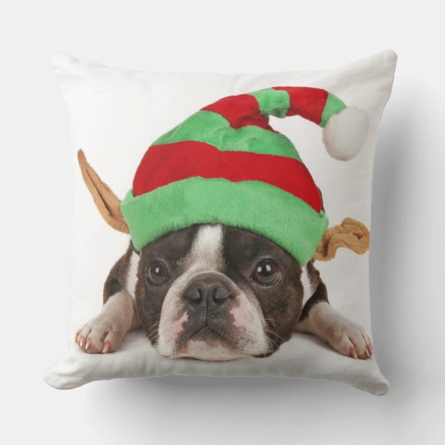 Cojín Decorativo Boston Terrier con un gorra del navidad (Anverso)