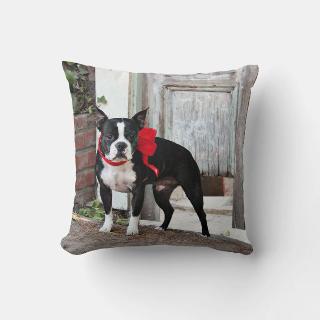 Cojín Decorativo Boston Terrier - millas (Anverso)