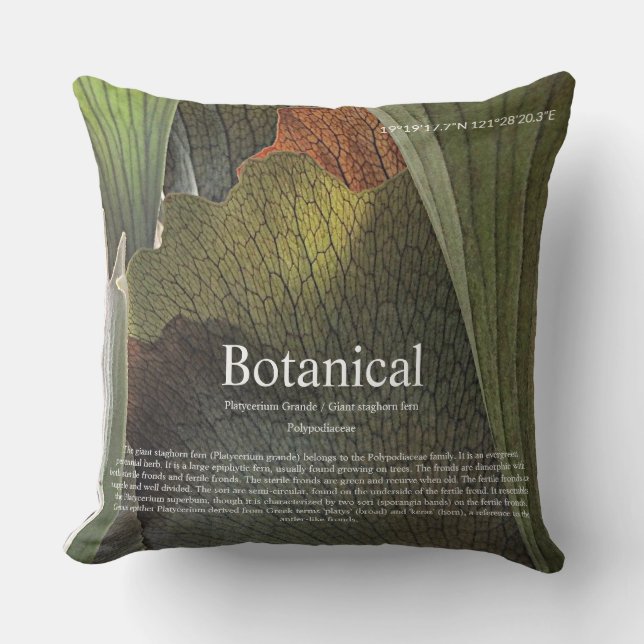 Cojín Decorativo Botanical interior. (Anverso)