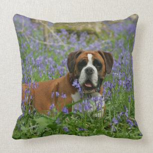 Cojín Decorativo Boxeador que pone en Bluebells
