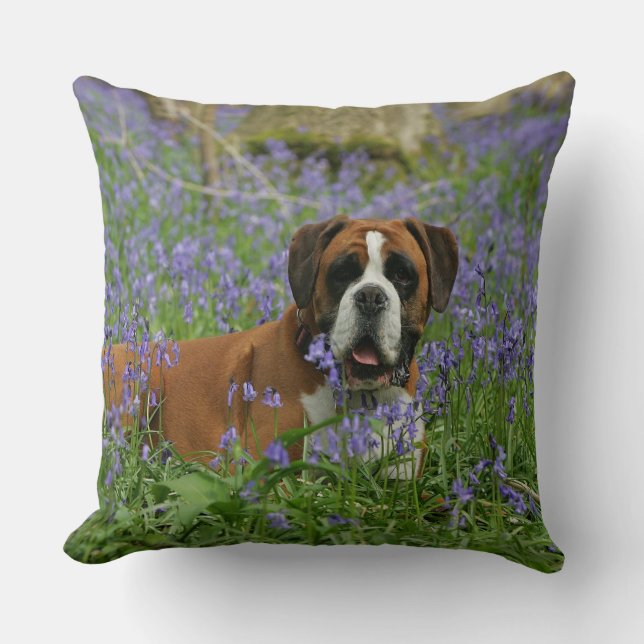 Cojín Decorativo Boxeador que pone en Bluebells (Anverso)