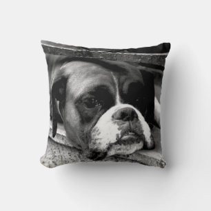 Cojín Decorativo Boxer Dog En Windowsill Tpcn