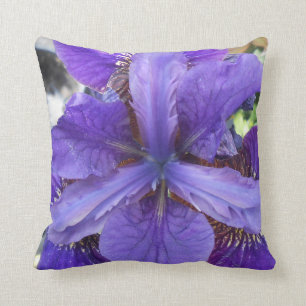 Cojín Decorativo Brandeis