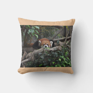 Cojín Decorativo Brillante Panda Rojo en un zoológico
