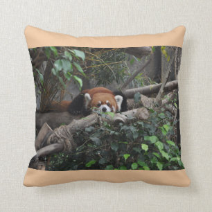 Cojín Decorativo Brillante Panda Rojo en un zoológico