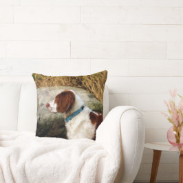 Cojín Decorativo Brittany Spaniel - Cobre