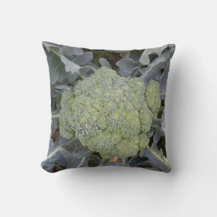 Cojín Decorativo Broccoli Pillow