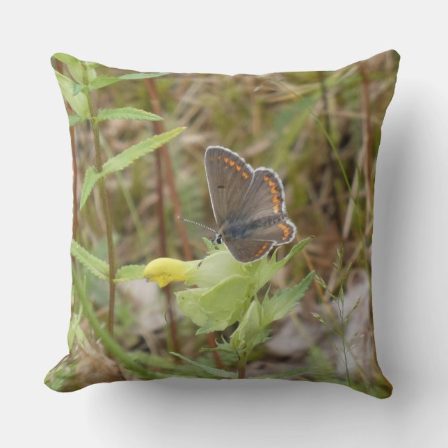 Cojín Decorativo Brown Argus Butterfly Throw Pillow (Anverso)