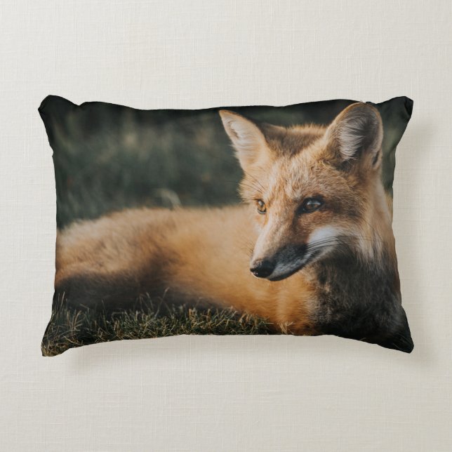 COJÍN DECORATIVO BROWN FOX ON GROUND (Anverso)