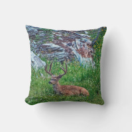 Cojín Decorativo Buck de cama