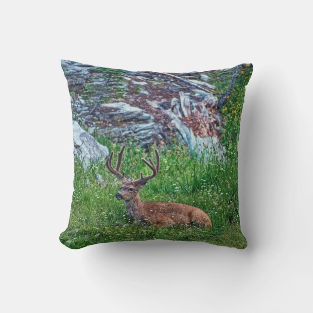 Cojín Decorativo Buck de cama (Anverso)