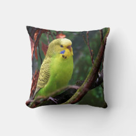 Cojín Decorativo Budgie