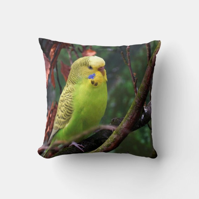 Cojín Decorativo Budgie (Anverso)
