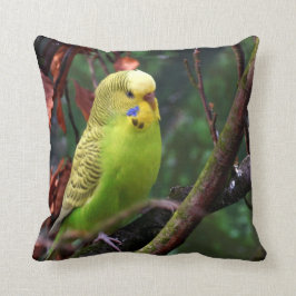 Cojín Decorativo Budgie