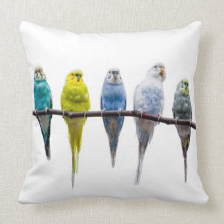 Cojín Decorativo Budgies