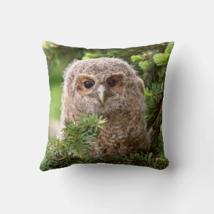 Cojín Decorativo Búho