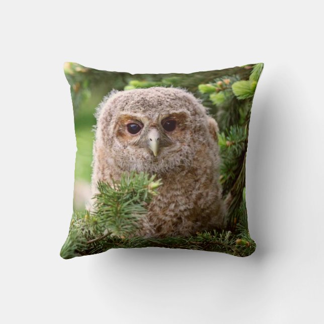 Cojín Decorativo Búho (Reverso)