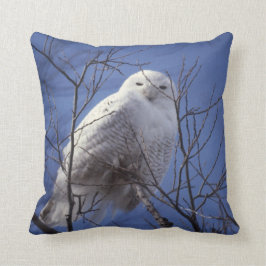 Cojín Decorativo Búho Nevado, pájaro blanco contra un cielo azul