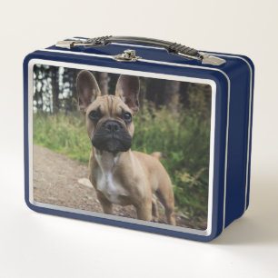 Cojín decorativo Bulldog francés