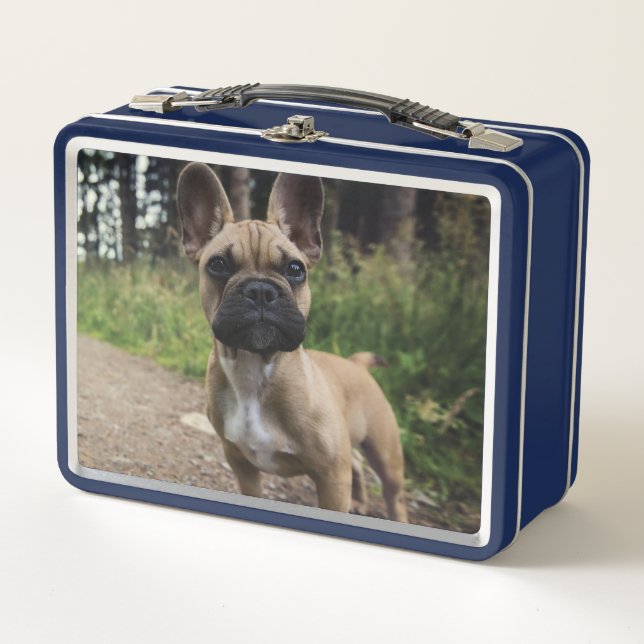 Cojín decorativo Bulldog francés (Anverso)