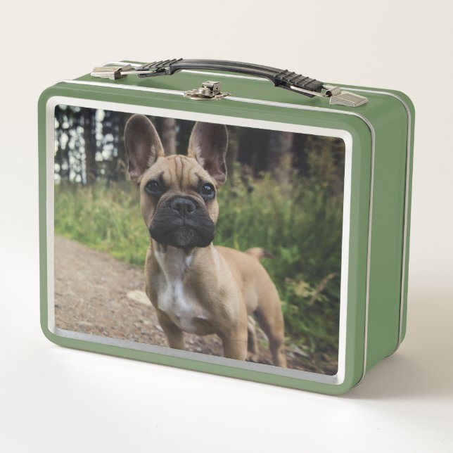 Cojín decorativo Bulldog francés (Anverso)