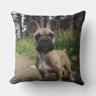 Cojín decorativo Bulldog francés