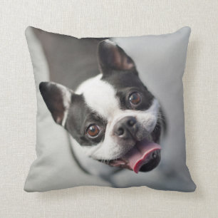 Cojín Decorativo Bulldog francés de las imágenes el   de Getty