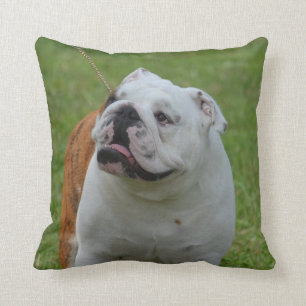 Cojín Decorativo Bulldog grande