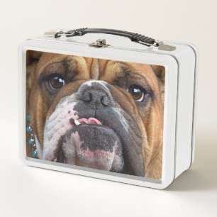 Cojín decorativo Bulldog inglés