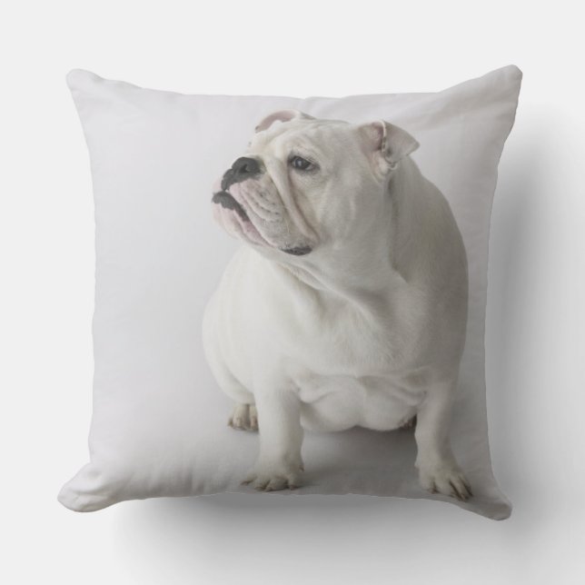 Cojín Decorativo Bulldog inglés blanco (Anverso)